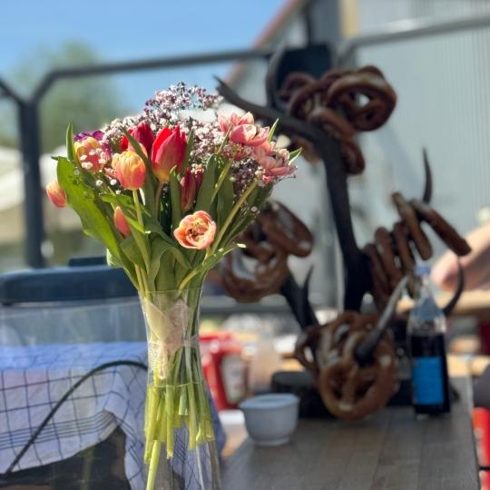 Galerie Slot1 Bild12 Zieglers Schirmbar